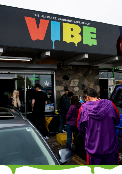 Vibe: Best Cannabis Dispensaries in Michigan