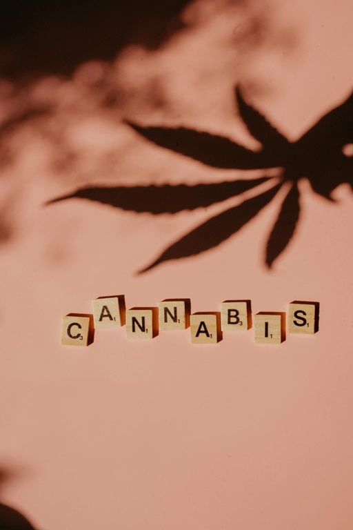 Cannabis Dispensary in Michigan
