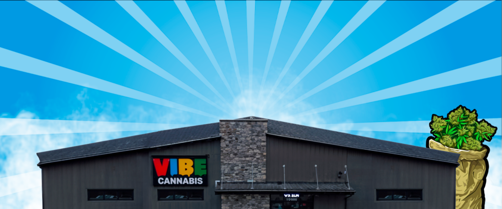 Introduction to Vibe Dispensary and the Quincy Cannabis Scene