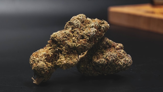 Guide to Vibe’s Michigan Dispensary Menu Guide to Vibe’s Michigan Dispensary Menu