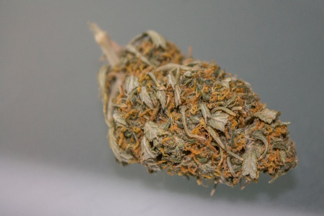 Vibe: Best Cannabis Dispensaries in Michigan