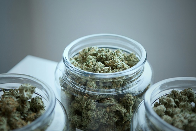 Explore Medical Cannabis Options