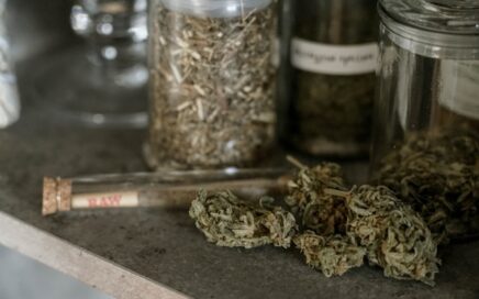 michigan cannabis dispensary