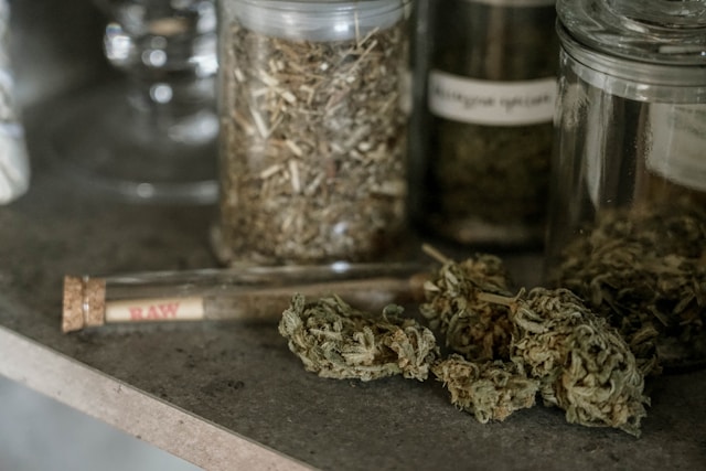 michigan cannabis dispensary
