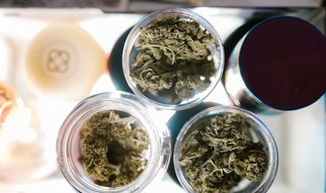 cannabis dispensaries near me in michigan