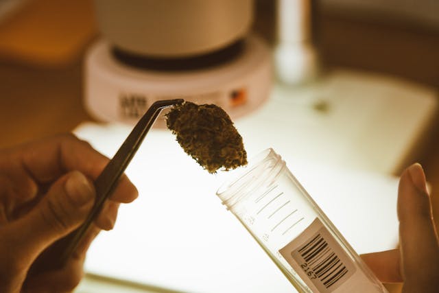 Recreational vs. Medical Marijuana Recreational vs. Medical Marijuana