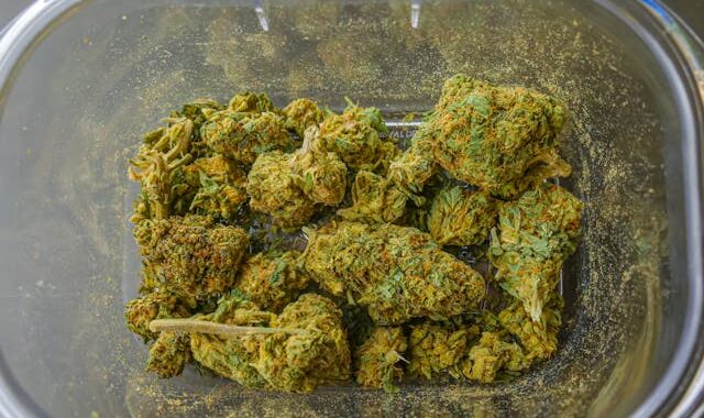 Crafting Marijuana Content: Vibe's Weed Blog