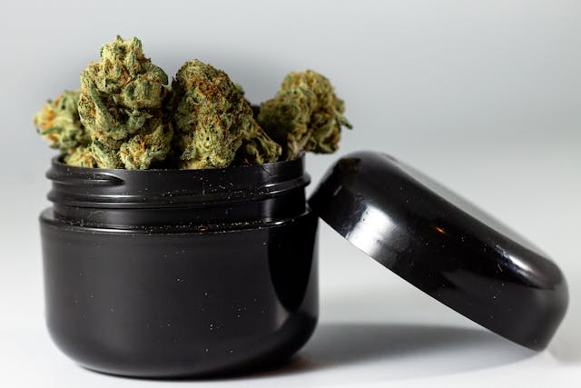 Vibe: Michigan Dispensary in Ann Arbor What You Need to Know