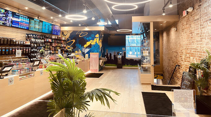 Vibe: Michigan Dispensary in Ann Arbor What You Need to Know