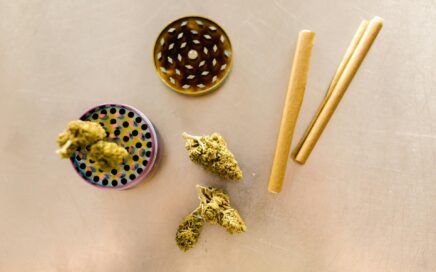 Crossing Borders: Exploring Michigan Dispensaries near Indiana