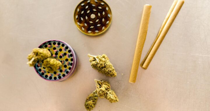 Crossing Borders: Exploring Michigan Dispensaries near Indiana