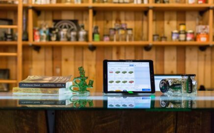Top 3 Weed Brands You Need to Try at Vibe Dispensary