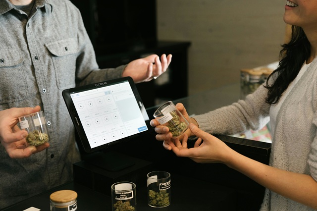 Top 3 Weed Brands You Need to Try at Vibe Dispensary
