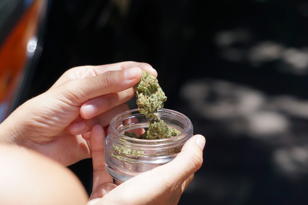 Navigating the Green Scene: Vibe Dispensary in Michigan Ann Arbor