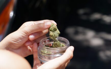 Navigating the Green Scene: Vibe Dispensary in Michigan Ann Arbor