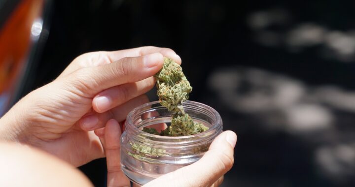 Navigating the Green Scene: Vibe Dispensary in Michigan Ann Arbor