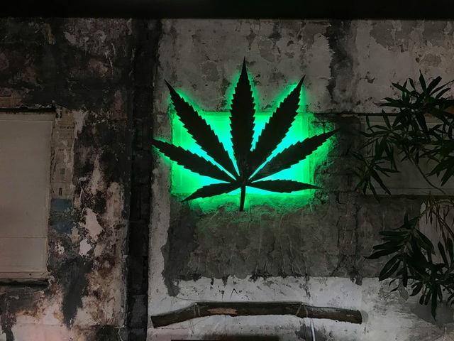 Navigating the Green Scene: Vibe Dispensary in Michigan Ann Arbor