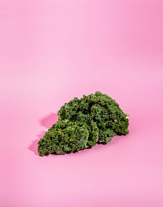 Vibe: Top Michigan Dispensary in Ann Arbor