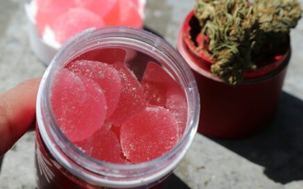 Exploring Edibles in Michigan: A Comprehensive Guide for Consumers