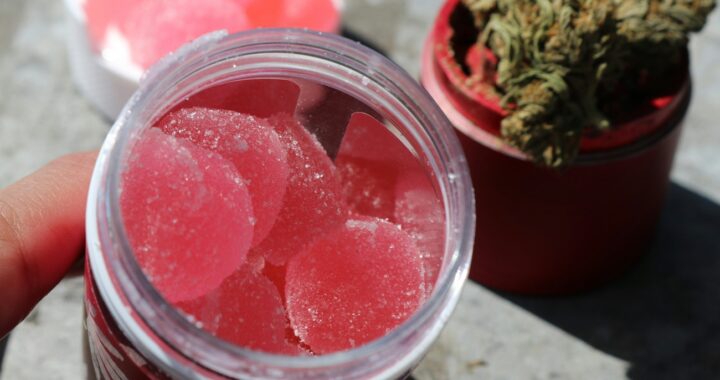 Exploring Edibles in Michigan: A Comprehensive Guide for Consumers