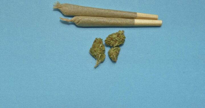 Exploring Vibe Michigan: Ultimate Guide to the Premier Dispensary Experience