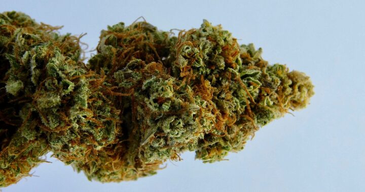 Vibe: Best Dispensary Deals in Detroit You Can't Miss!