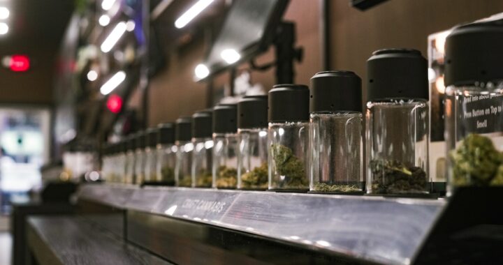 5 Reasons Why Vibe Marijuana Dispensary is the Best in the State