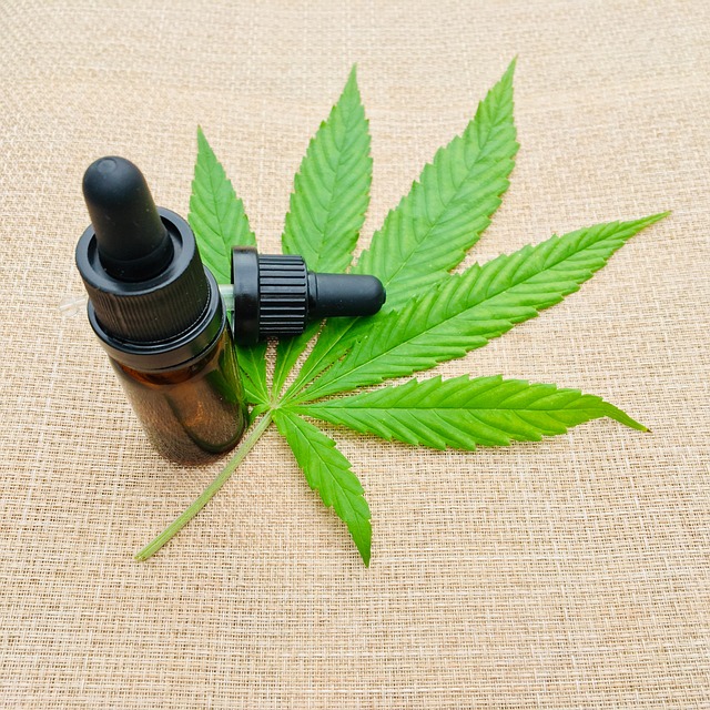 5 Reasons Why Vibe Marijuana Dispensary is the Best in the State 5 Reasons Why Vibe Marijuana Dispensary is the Best in the State