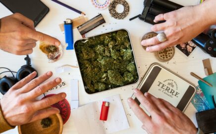 Vibe: Dispensary near New Buffalo Michigan