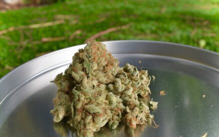 Vibe: The Best Dispensaries in Michigan