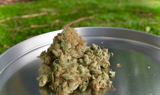 Vibe: The Best Dispensaries in Michigan