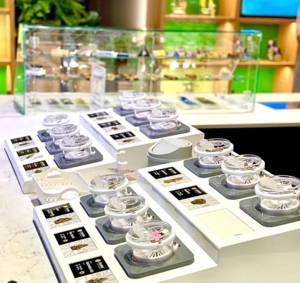 Vibe Weed Dispensary New Buffalo Location