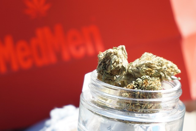 Vibe: The Best Dispensaries in Michigan