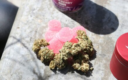 Vibe Dispensary Ann Arbor Michigan: Top Local Deals