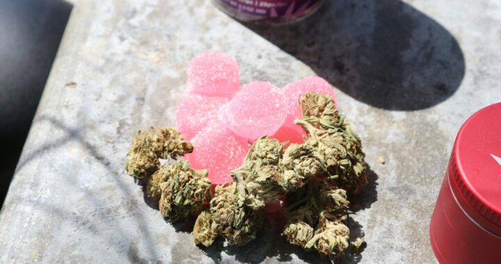 Vibe Dispensary Ann Arbor Michigan: Top Local Deals