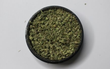 Vibe New Buffalo Dispensary Deals of the Season