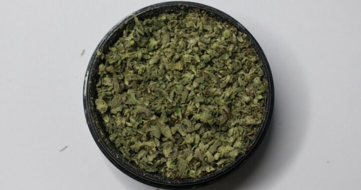 Vibe New Buffalo Dispensary Deals of the Season