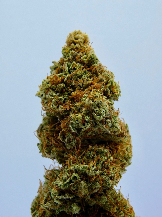 Vibe Best Weed Deals: A Complete Guide to Cheap Cannabis