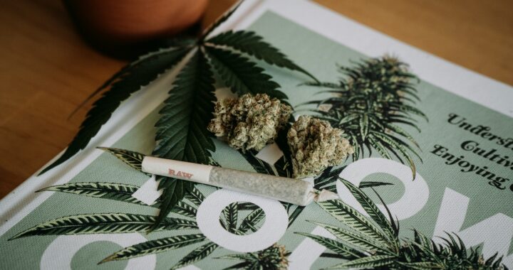 Michigan Dispensaries New Buffalo: Vibe Cannabis Shop Rated