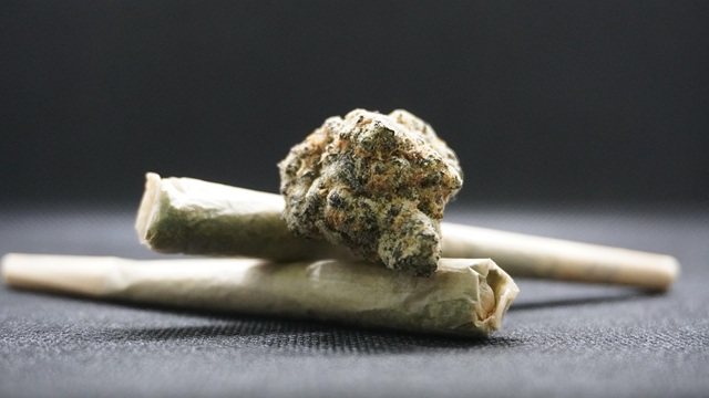 Benefits of Shopping at New Buffalo MI Dispensaries Benefits of Shopping at New Buffalo MI Dispensaries