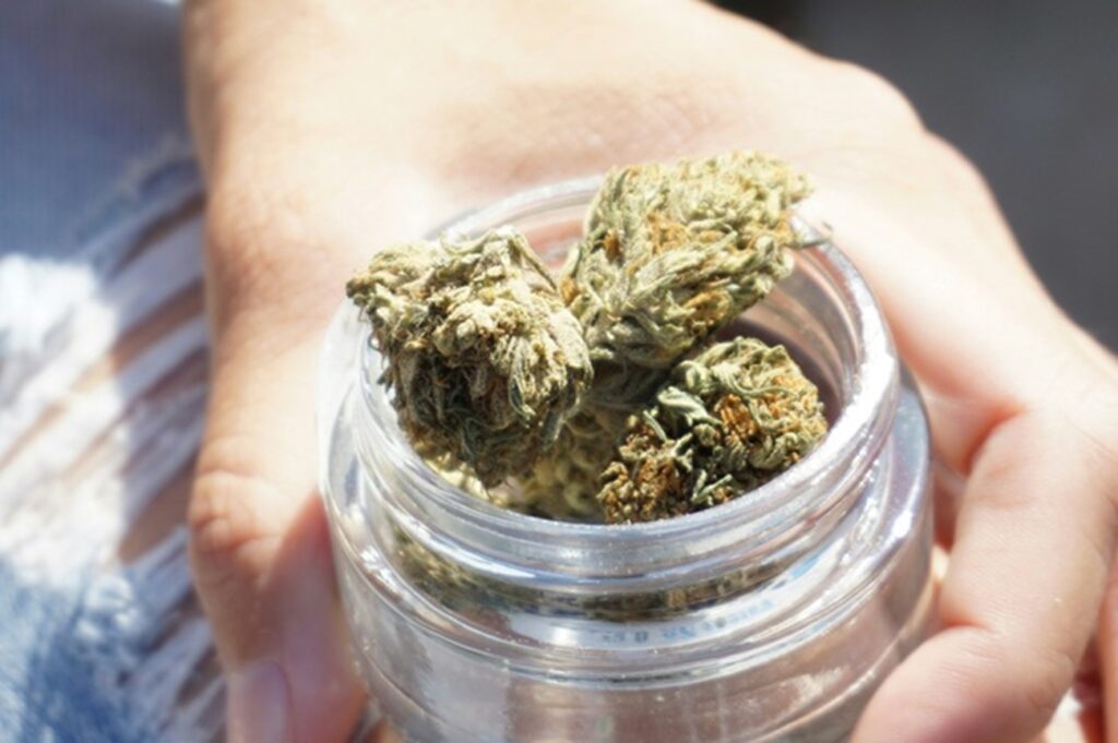 Vibe Dispensaries in Michigan for Premium Cannabis Products