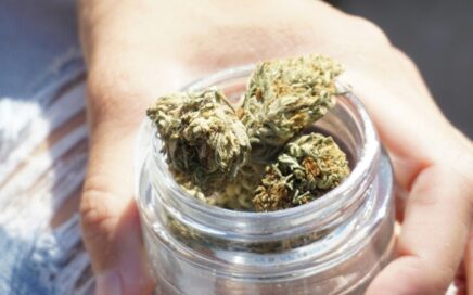 Vibe Dispensaries in Michigan for Premium Cannabis Products