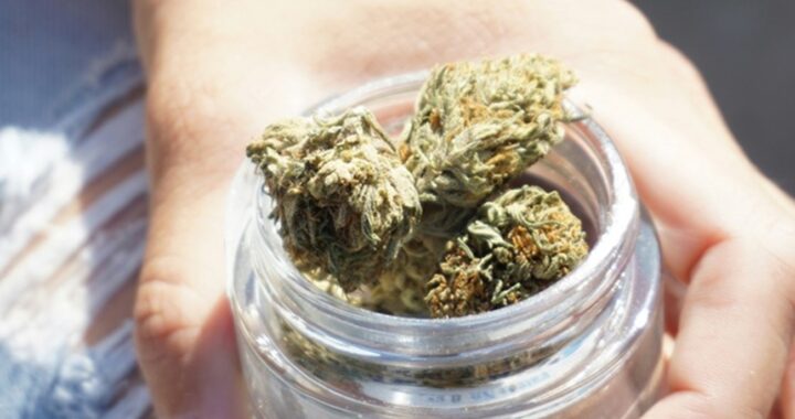 Vibe Dispensaries in Michigan for Premium Cannabis Products