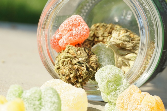 Vibe Dispensaries in Michigan for Premium Cannabis Products