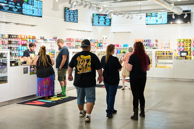 Vibe: Top Dispensary Brands in Michigan