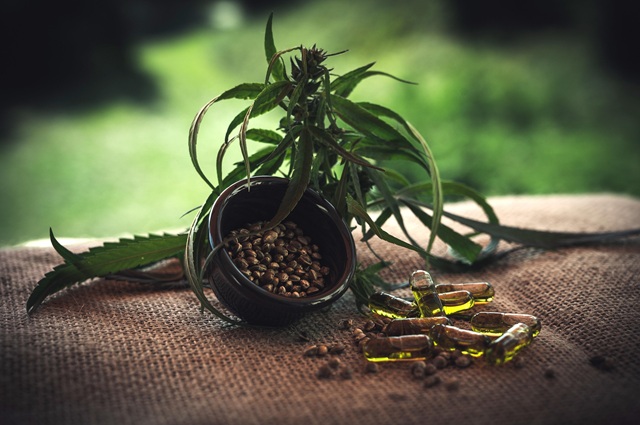 CBN vs CBD: Which Cannabinoid Is Right for You?