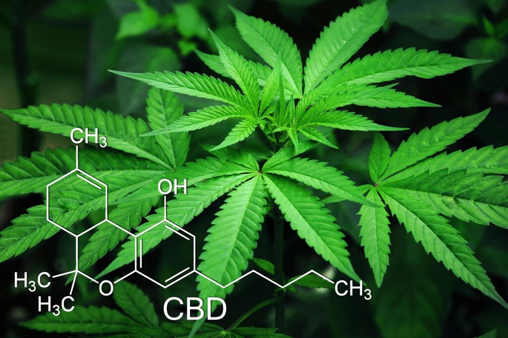 Vibe Inkster: Cannabis Dispensary near Romulus MI