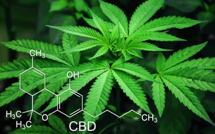 Vibe Inkster: Cannabis Dispensary near Romulus MI
