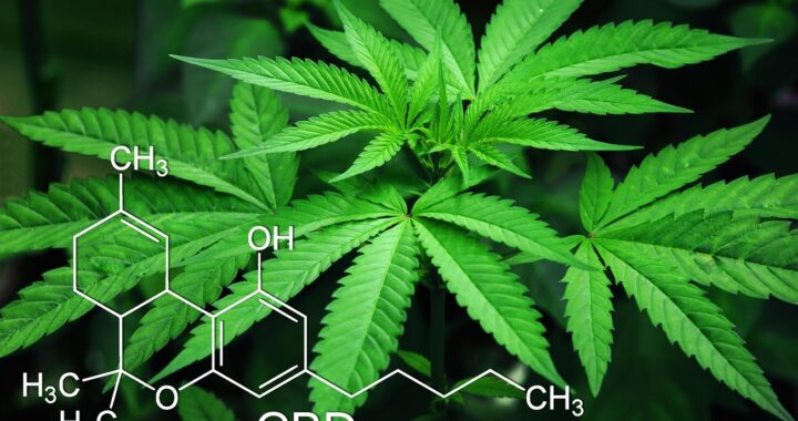 Vibe Inkster: Cannabis Dispensary near Romulus MI
