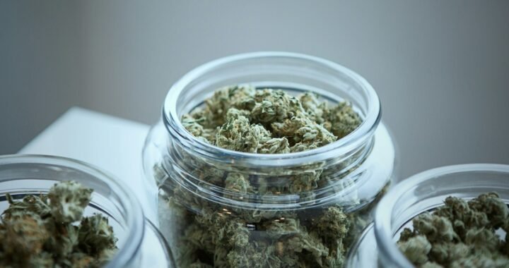 Indica vs Sativa vs Hybrid: What’s the Difference?